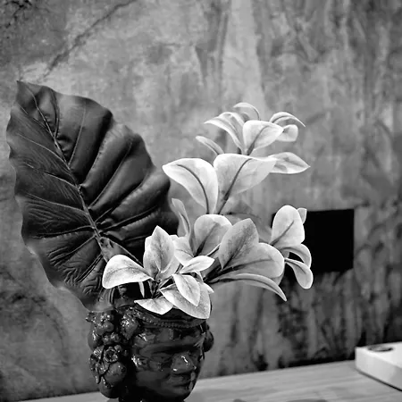 Omnia Luxury Bed & Breakfast