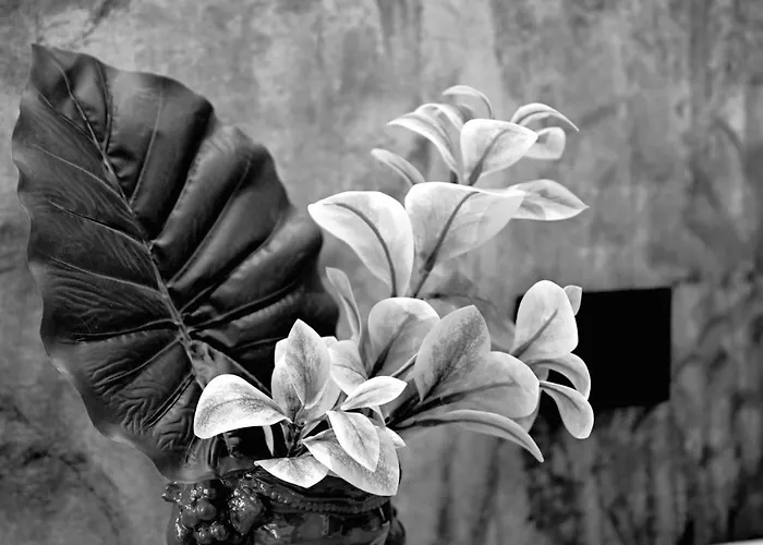 Omnia Luxury Nocleg ze śniadaniem